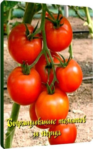 Выращивание томатов и перца (2011) DVDRip 