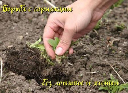 Борьба с сорняками без лопаты и химии (2011) DVDRip 