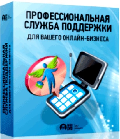 Профессиональная служба поддержки для вашего онлайн-бизнеса (2012) DVDRip 