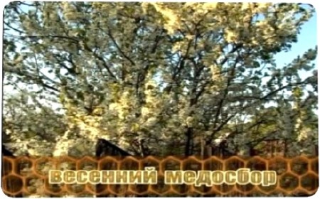 Домашнее пчеловодство медосбор (2011) DVDRip 