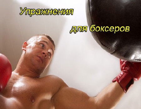 Упражнения для боксеров (2011) SATRip 