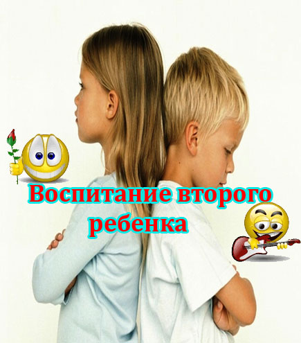 Воспитание второго ребенка (2012) DVDRip 